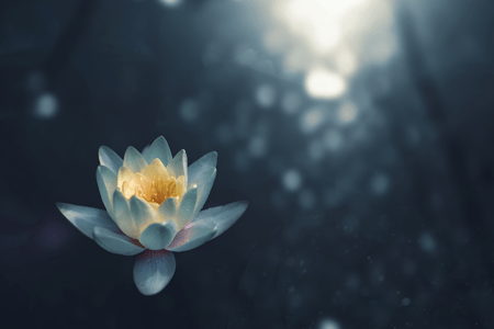 ヨガで心の安定を